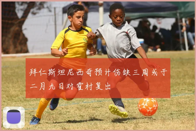 拜仁斯坦尼西奇预计伤缺三周或于二月九日对霍村复出