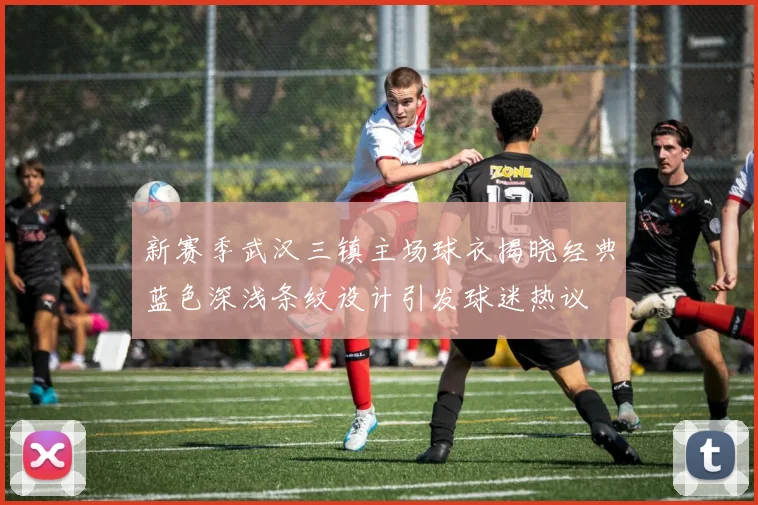 新赛季武汉三镇主场球衣揭晓经典蓝色深浅条纹设计引发球迷热议