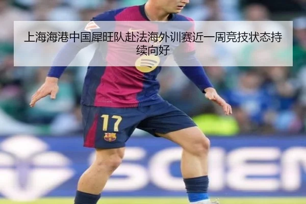上海海港中国犀旺队赴法海外训赛近一周竞技状态持续向好 - HengYao